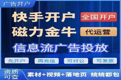 SEM推广案例：揭秘高ROI背后的策略与实践